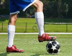 乒乓球,中国代表队,全体成员成,爱游戏app,爱游戏官网,爱游戏体育官网,爱游戏体育app