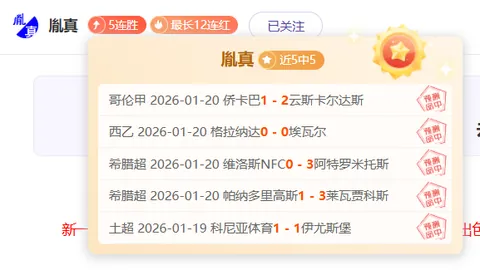 我国冰雪运动战略“南进西拓东扩”成果丰硕，冰雪产业加速2025-02-14