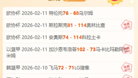 比利时国家队世界杯参赛频率