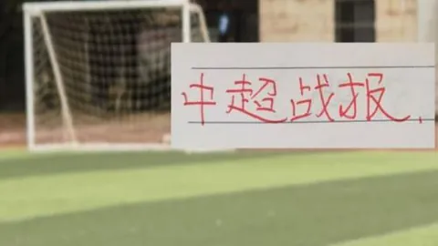 Pokemon Champions对战模式种类解析